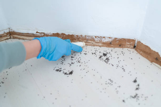 Best Best Pest Control Companies  in Landisville, PA